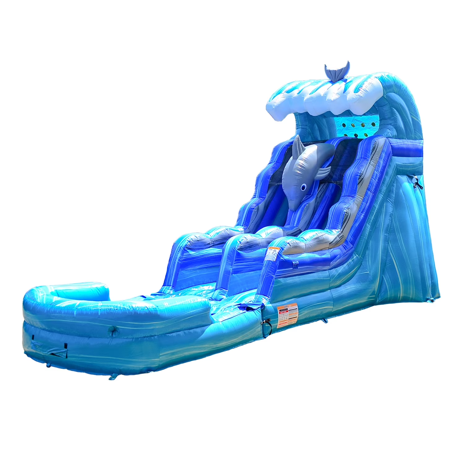 Dolphin Water Slide
